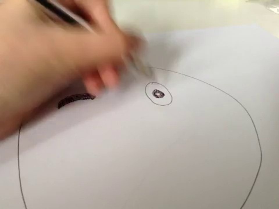 Dessincooletsympas