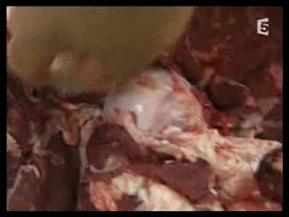 Sur les pas des premiers hommes 2_3