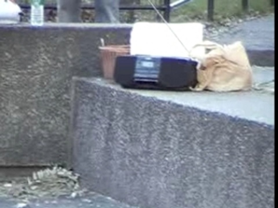 Washington square (NY) REALITY&DREAM