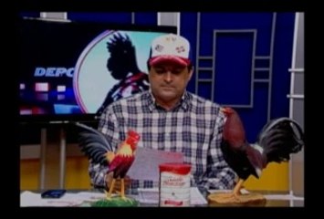 2DA PARTE PROGRAMA TECNODEPORTES 8-3-2014 CASADELOSGALLEROS Y STO.DGO.ESTE-EL-9