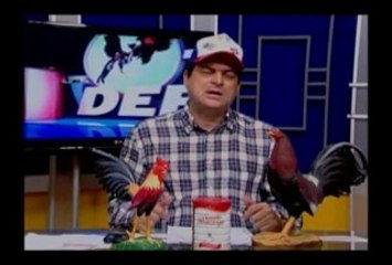 3ERA PARTE PROGRAMA TECNODEPORTES 8-3-2014 CASADELOSGALLEROS Y STO.DGO.ESTE-EL-9