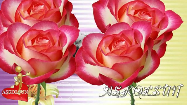 Bu Şehirde Yaşanmaz (Şevval Şam)