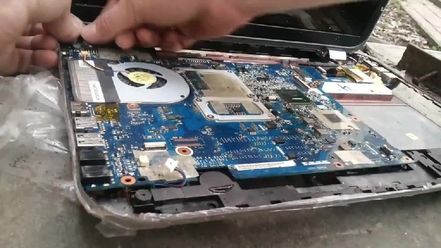 Cafards dans un ordinateur portable