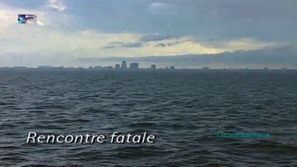 Rencontre fatale[les nouveaux détectives]