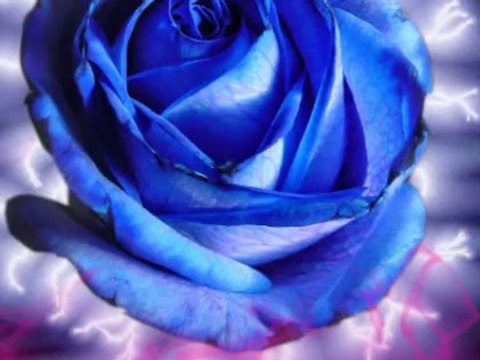 La preuve par coeur Nicolas De Angelis