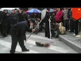 Chinese police beat dog to death in public