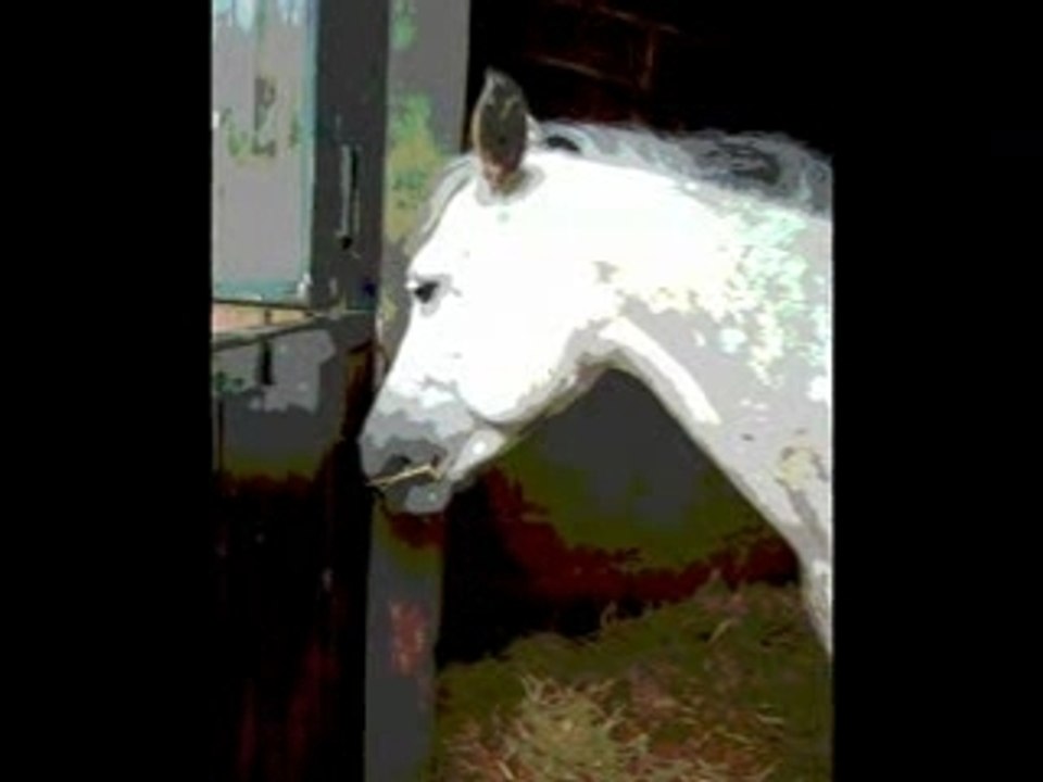 Kaouette