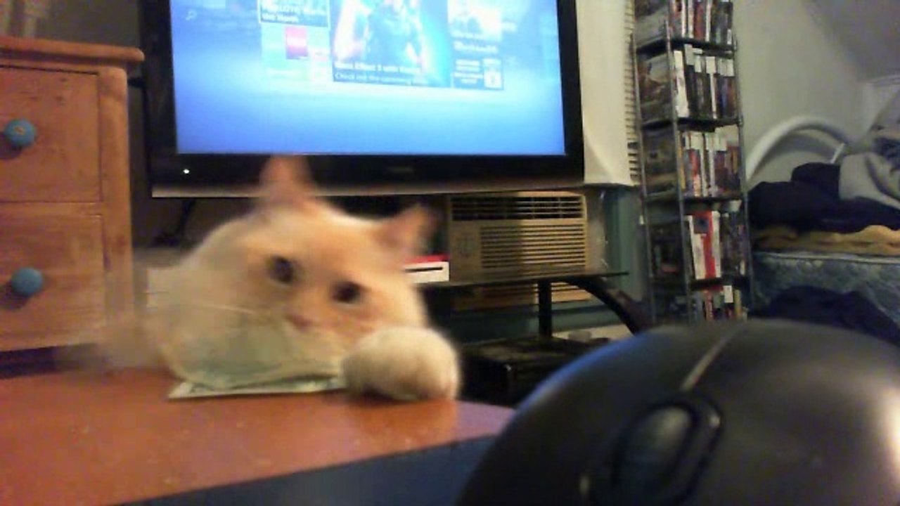 caught white handed