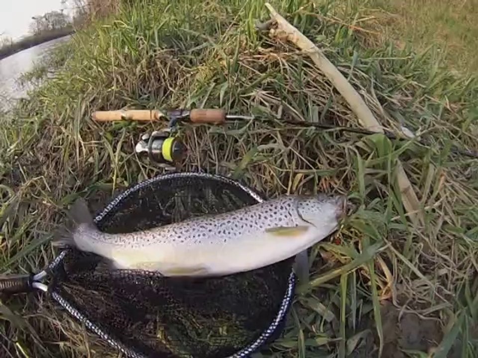 Truites en mars aux leurres