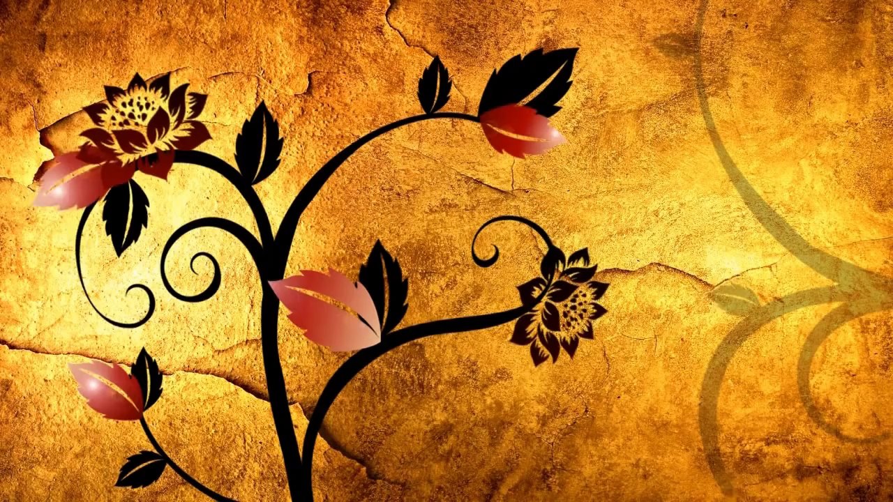 My Effect, Floral Evolutivo - AECS5