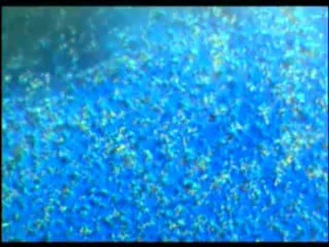 les miracles du saint coran