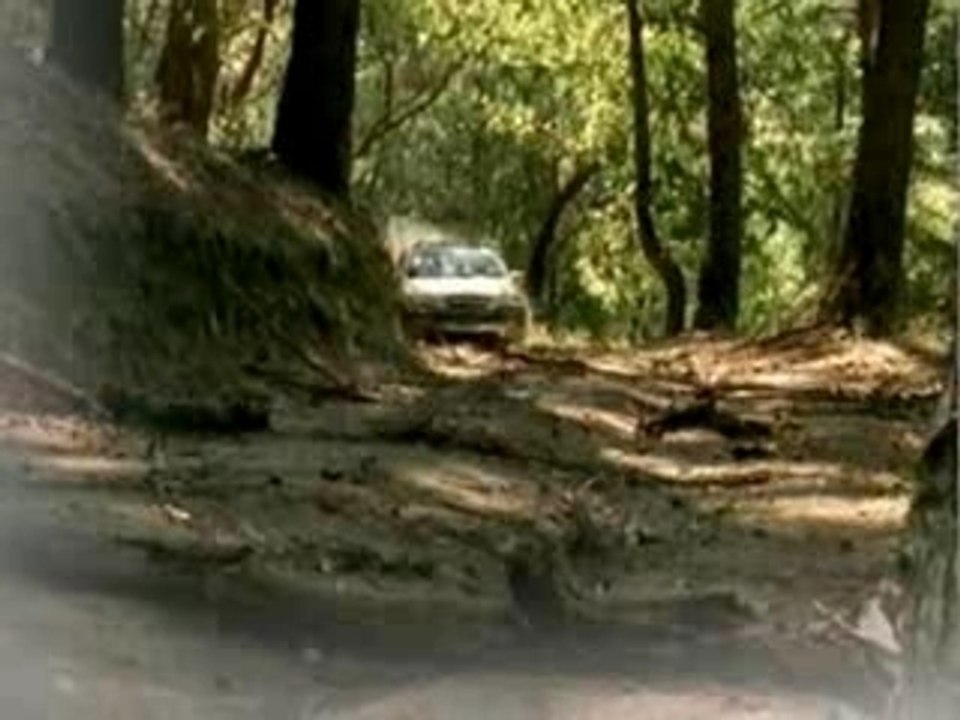 KIA Sorento - Pub Auto