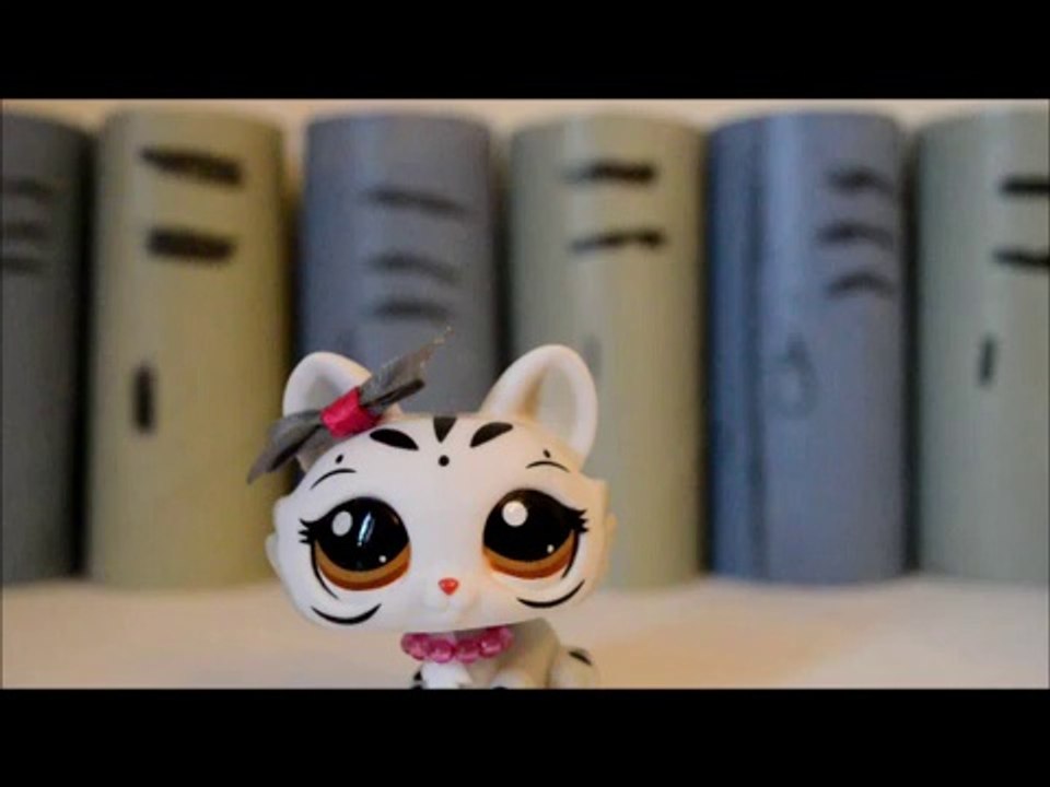 Petshop--DyDy---Une-amie (1)