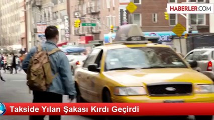 Takside Yılan Şakası Kırdı Geçirdi