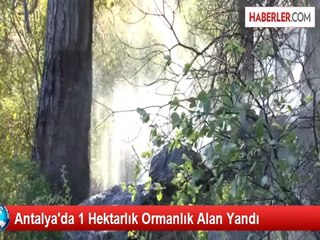 Antalya'da 1 Hektarlık Ormanlık Alan Yandı