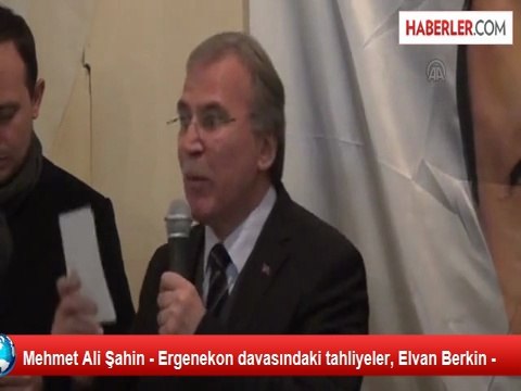 Mehmet Ali Şahin - Ergenekon davasındaki tahliyeler, Elvan Berkin -