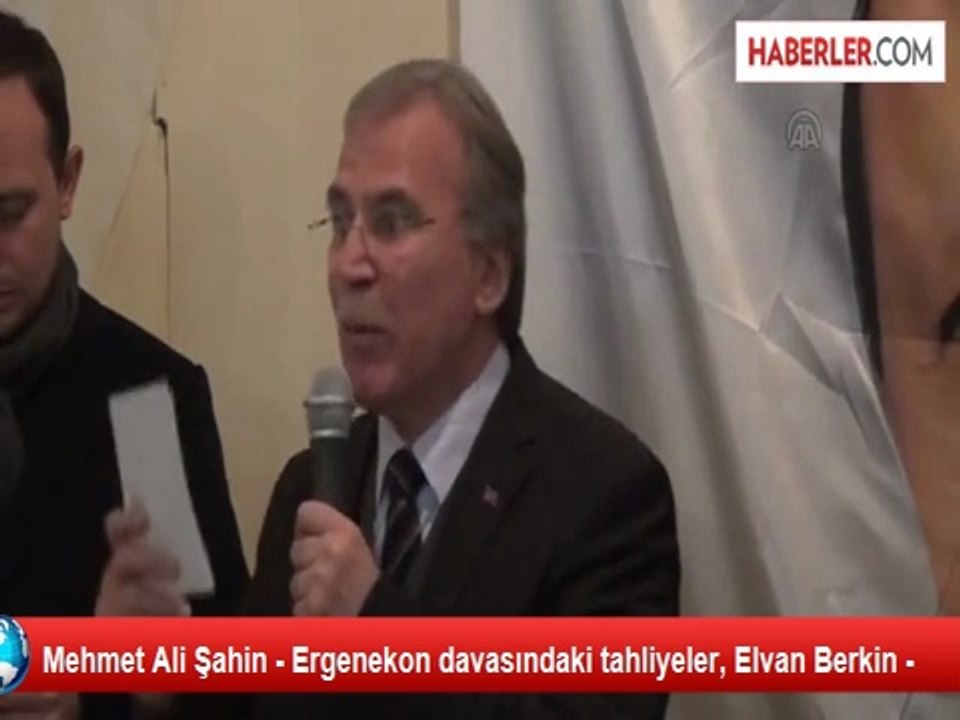 Mehmet Ali Şahin - Ergenekon davasındaki tahliyeler, Elvan Berkin -