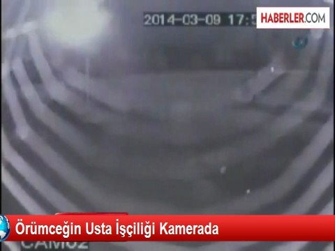 Güvenlik Kamerasına Ağ Yapan Örümcek