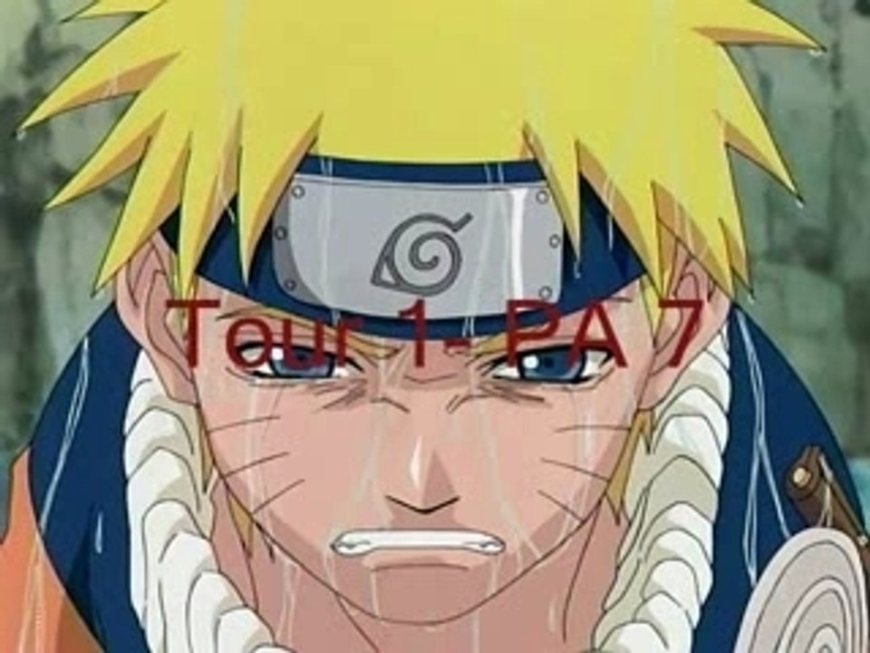 Fight version PN