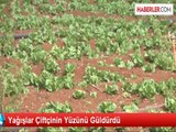 Kilis'te Yağışlar Çiftçinin Yüzünü Güldürdü