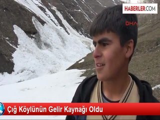 Çığ Getiriyor Onlar Topluyor