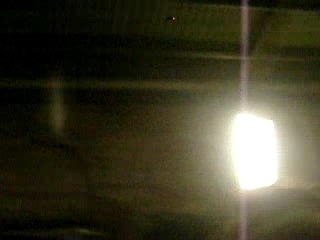 ragout toutou 2 (Andréa)