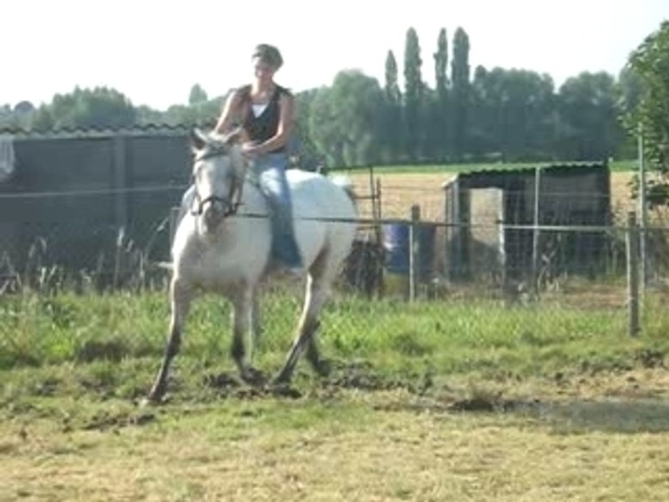 Vidéos prairies evregnies (1)