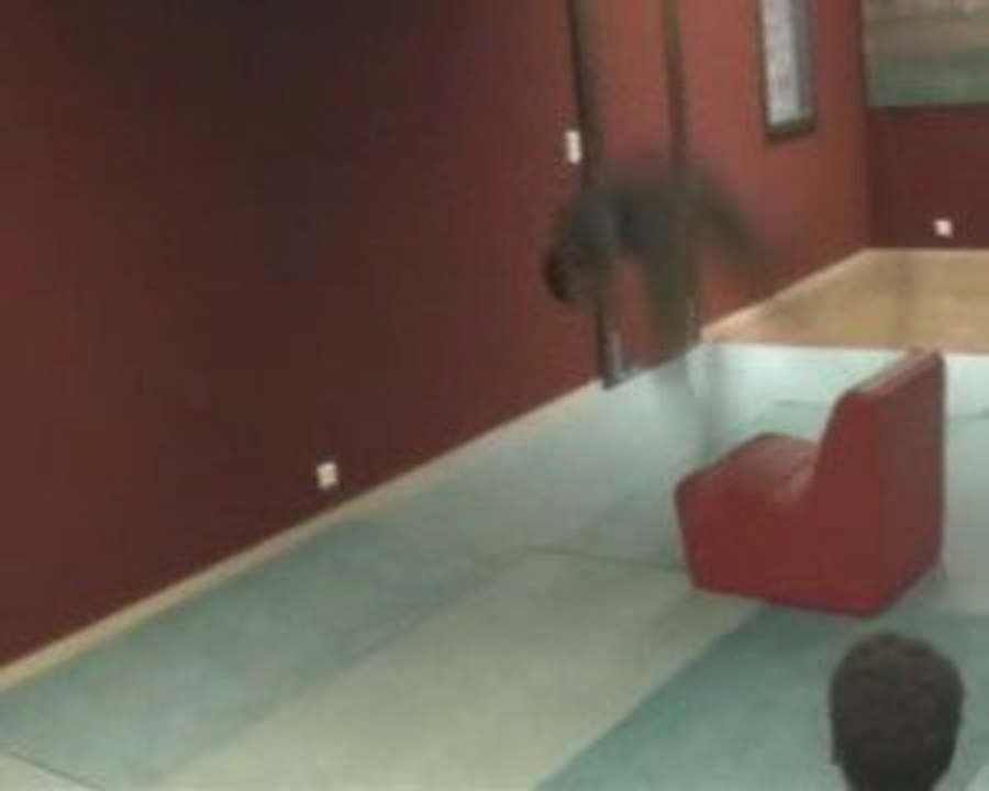 cascades et acrobaties