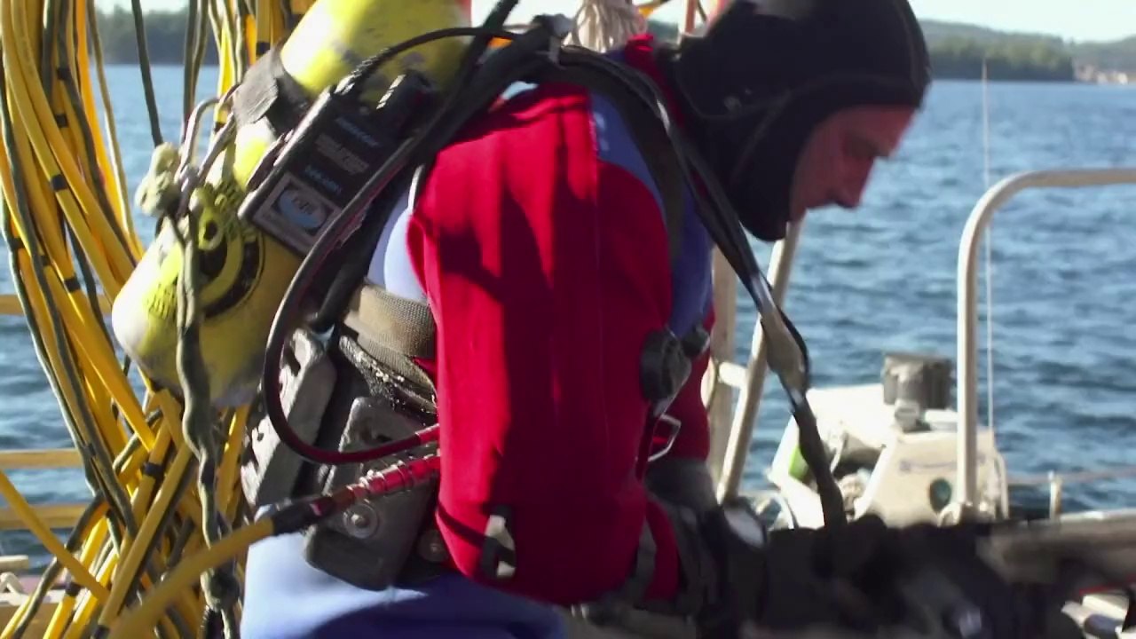 La palourde royale, l'or de la côte pacifique canadienne