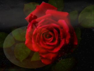 40 yaşında-Ömer HANÇERİ (1)