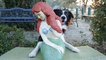 Find Momo : Série de photos avec un chien caché