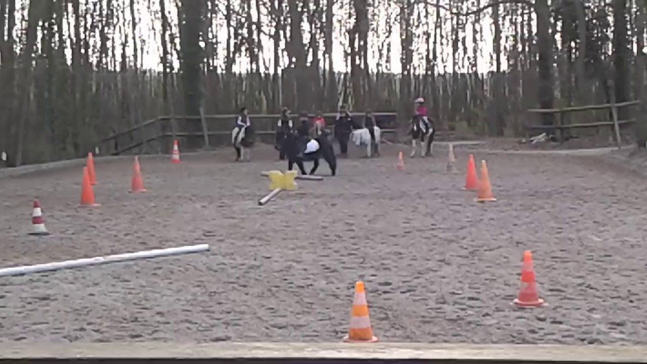 Samedi poney
