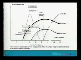 Microbio Lecture Example