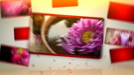 Windflower - Designer Template - After Effects Template