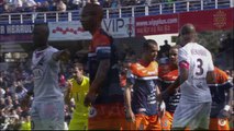 But Vitorino HILTON (34ème) - Montpellier Hérault SC - Girondins de Bordeaux - (1-1) - 16/03/14 - (MHSC-FCGB)