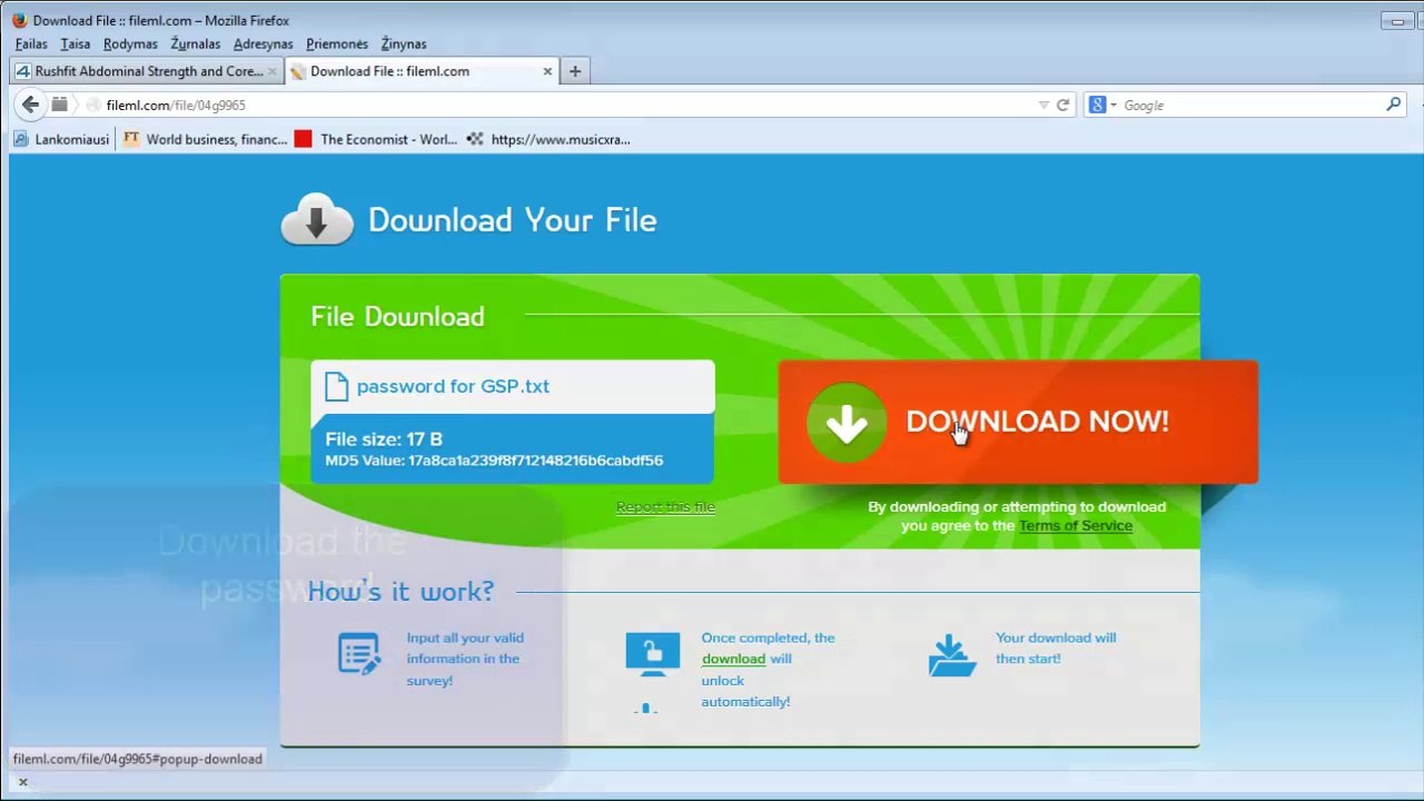 Rushfit Abdominal Strength and Core Conditioning Dvd
