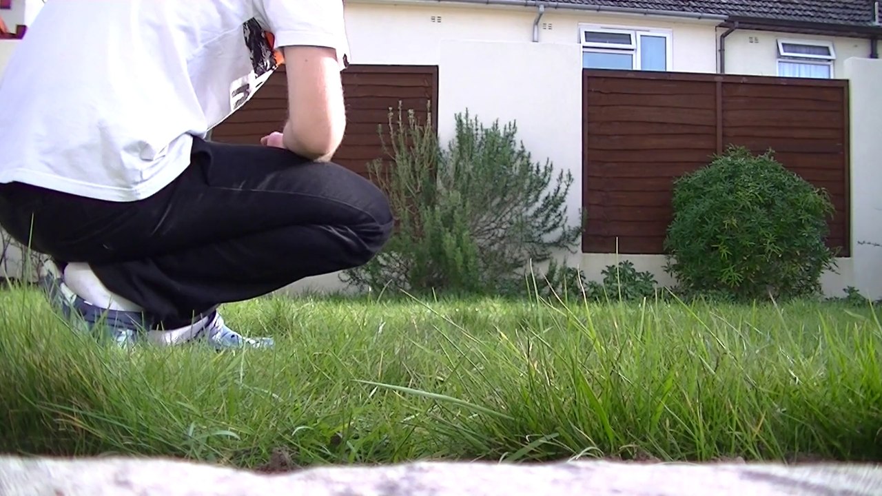 Mój Piesio Enter