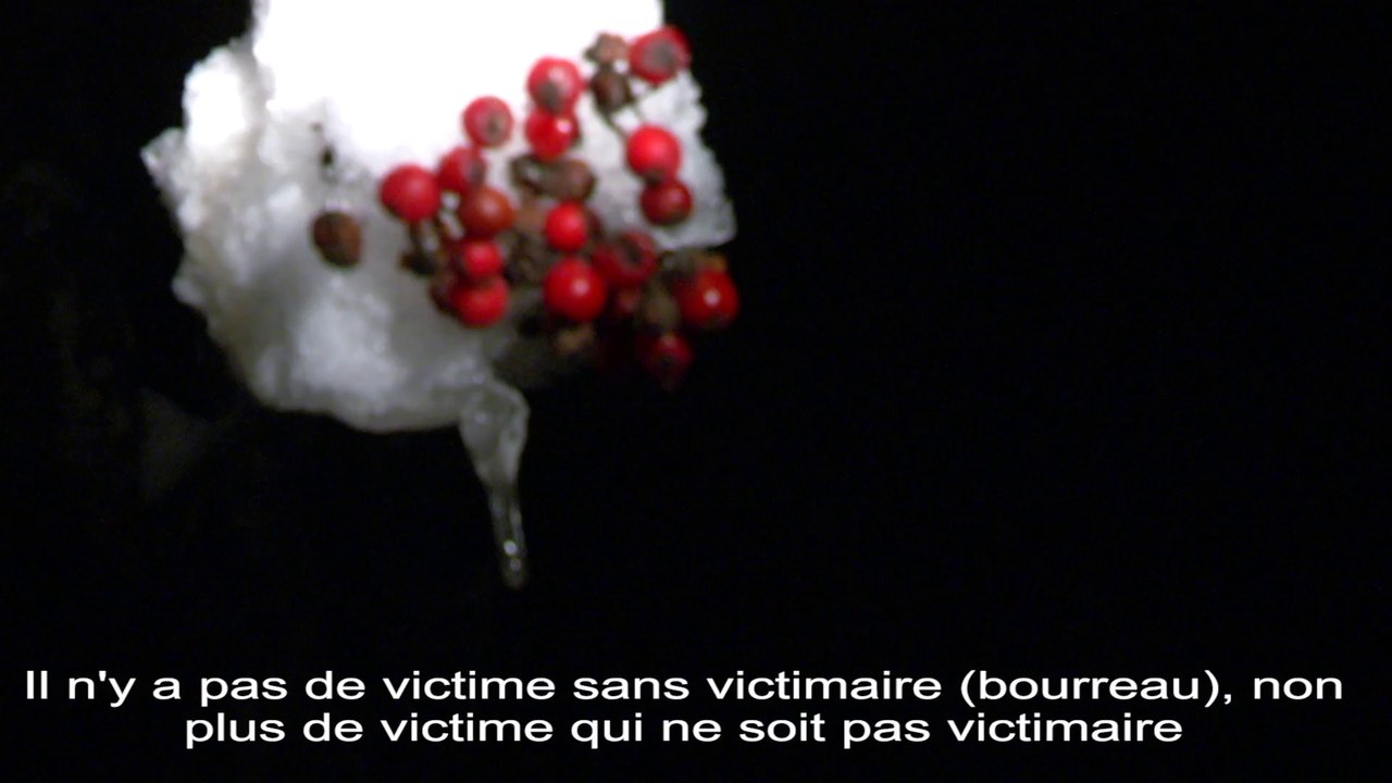 Sans titre (Salut Univers)
