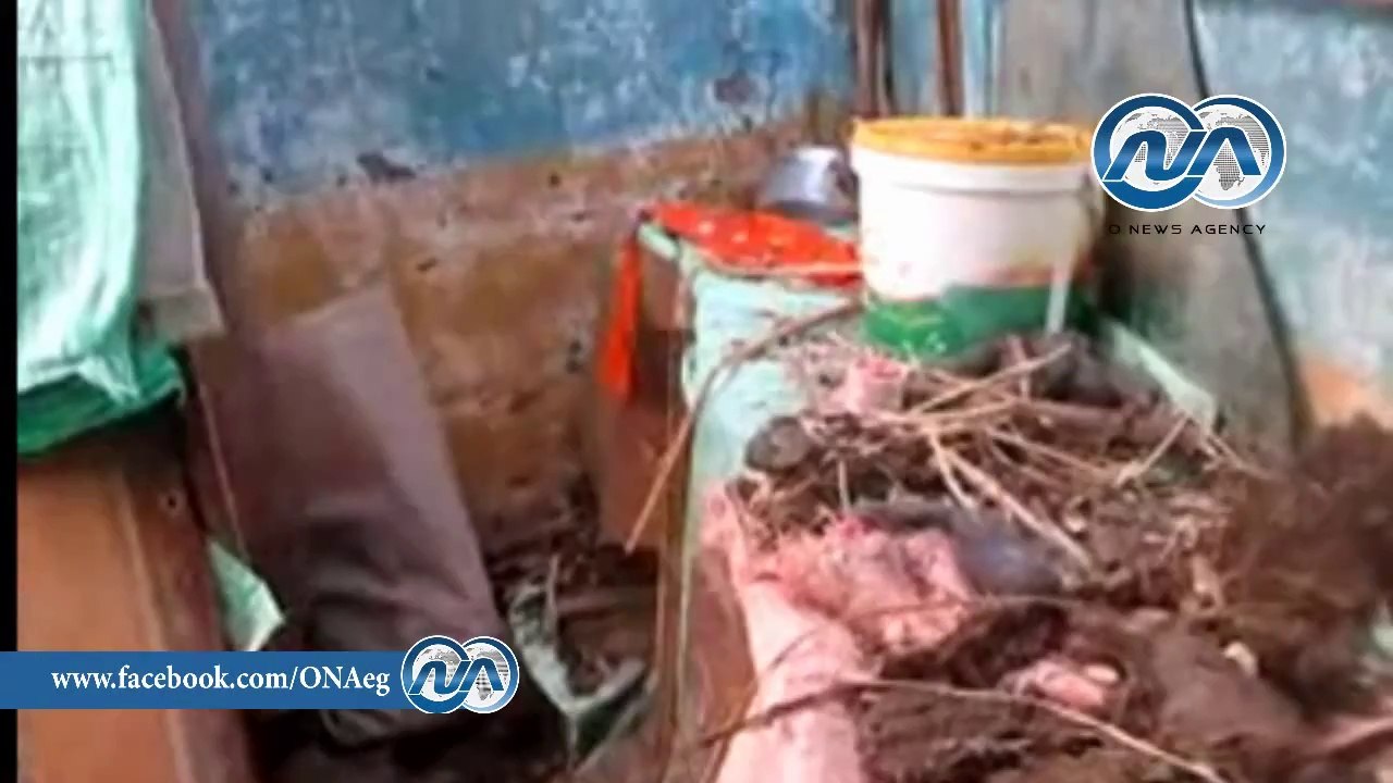 شاهد .. بعض المنازل المتضررة من الأمطار بالأقصر