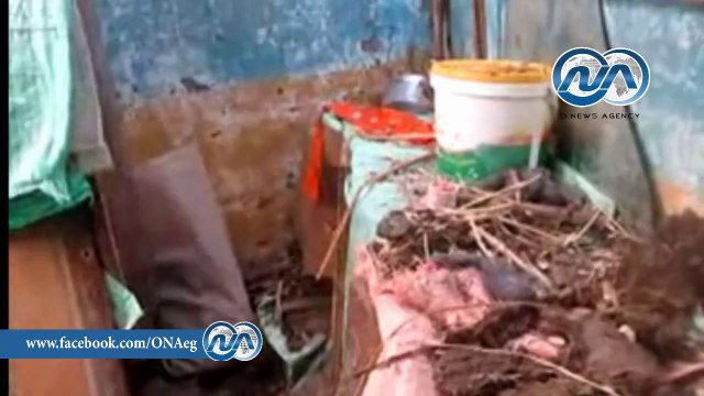 شاهد .. بعض المنازل المتضررة من الأمطار بالأقصر