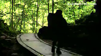 Nature Reserve Hiking Sarawak, Malaysia by Asiatravel.com