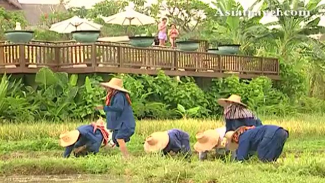 The Regent Resort Chiang Mai, Thailand by Asiatravel.com