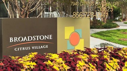 Broadstone Citrus Village Apartments in Tampa, FL - ForRent.com