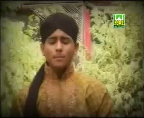 Haleema Mainu Naal Rakh Lay Farhan Ali Qadri naat