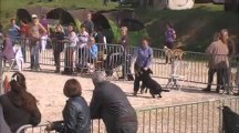 agility ollioules 14 hyla brevet