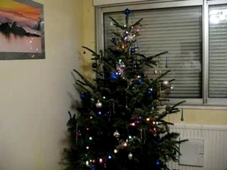 Sapin