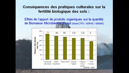 MSV 2013 - atelier apports organiques - Xavier Salducci