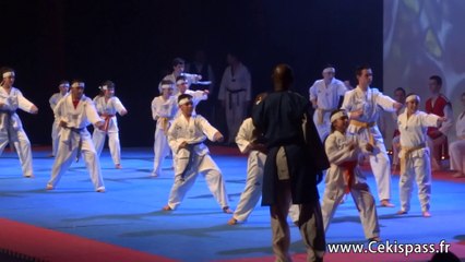 Nuit des Arts Martiaux 2014 à Bourges