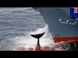 New Zealand protests at Japanese whaling ship entering its maritime zone