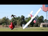 Skydiving accident: plane wing clips parachute, takes skydiver down